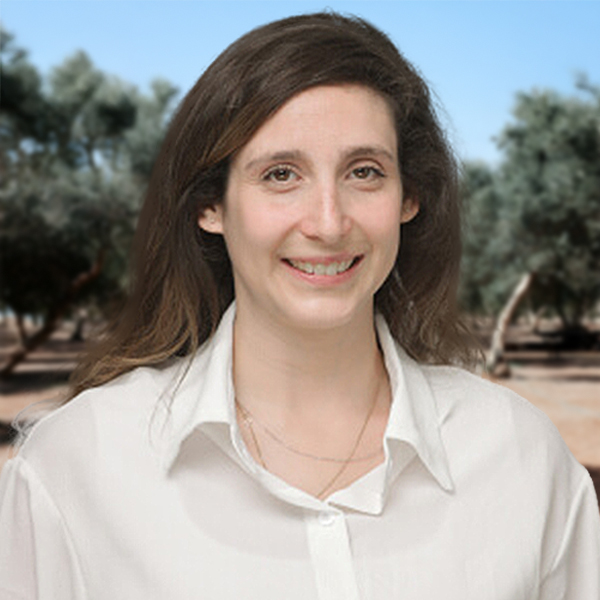 Read more about the article Gal Peled
