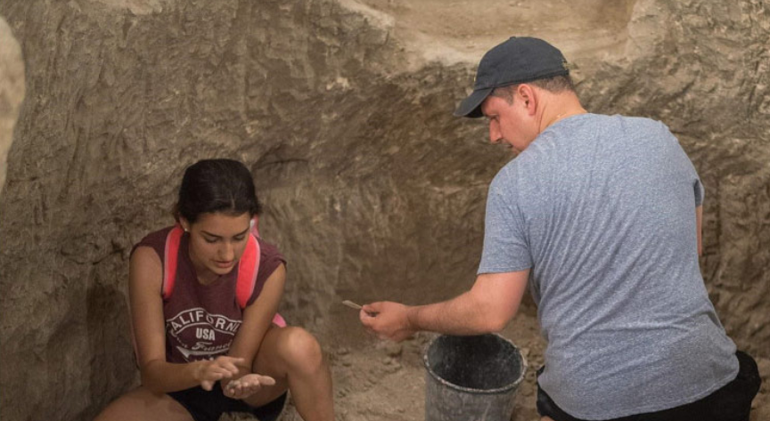 Read more about the article Dig for a Day