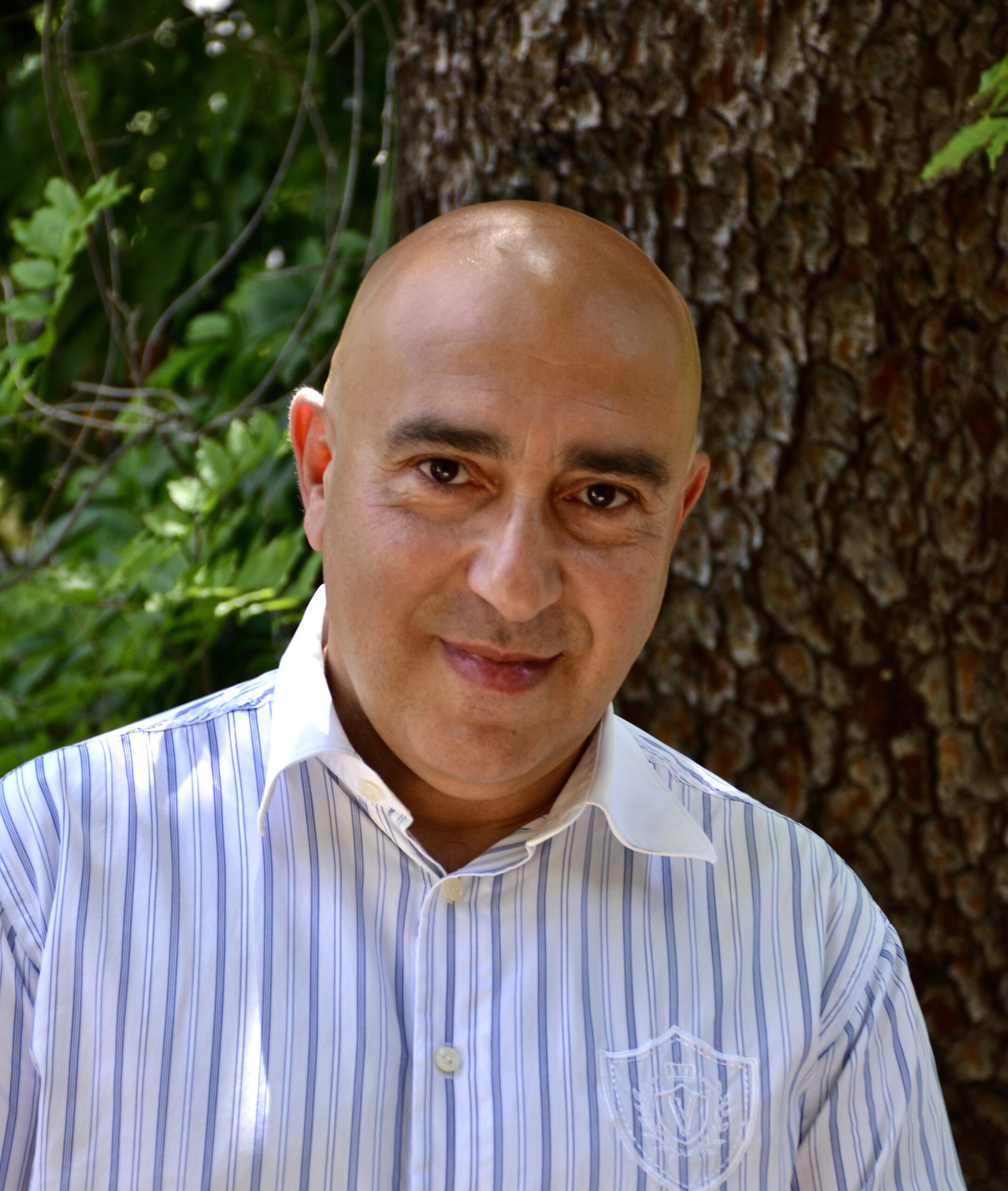 Read more about the article Samer Sinijlawi