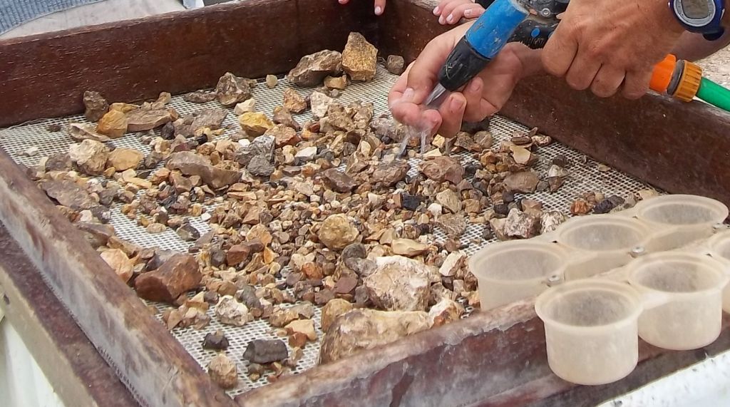 Read more about the article The Temple Mount Sifting Project